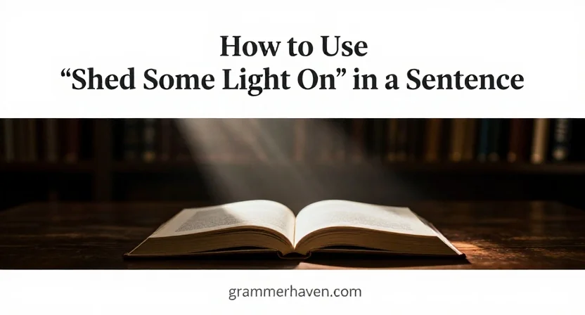 How to Use “Shed Some Light On” in a Sentence