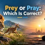 Prey or Pray: Which Is Correct?