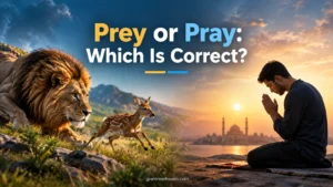Prey or Pray: Which Is Correct?