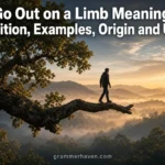 Go Out on a Limb Meaning: Definition, Examples, Origin and Usage